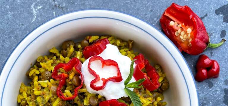 Yumbini is not just fast and yummy and healthy but colorful and beautiful too!